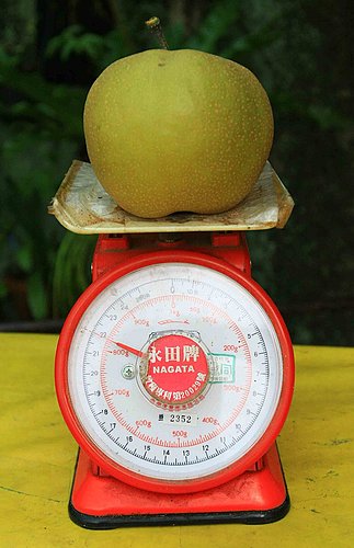 41_4e3f90cdbc699.jpg 323X500 px