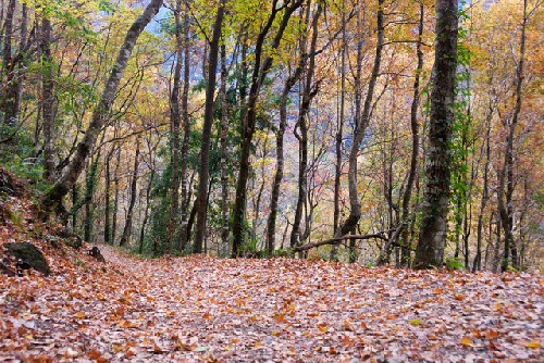 11_4cf466d22871a.jpg 640X428 px