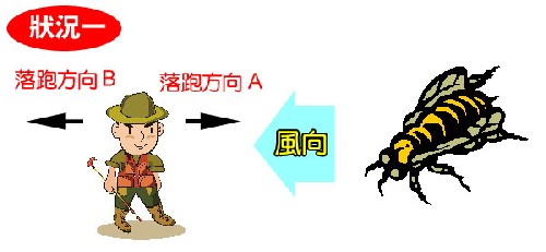 255_4cbc59acd0ebb.jpg 600X278 px